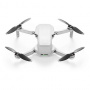 DJI Mavic Mini